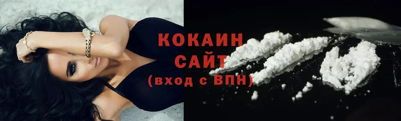 КОКАИН FishScale  где продают наркотики  Сунжа 